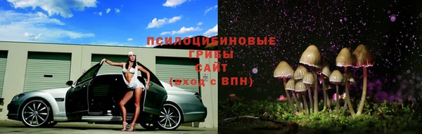 прущая мука Богданович