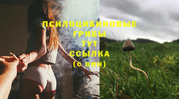 экстази Мегион