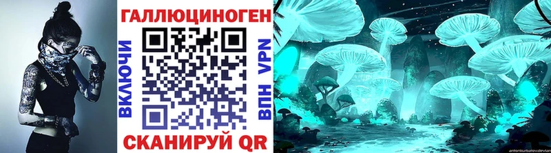 Галлюциногенные грибы Psilocybine cubensis  даркнет сайт  Хадыженск 